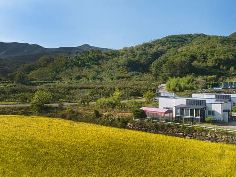 쿠키키즈펜션