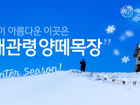 대관령양떼목장